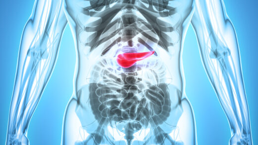 3D illustration of Pancreas - part of digestive