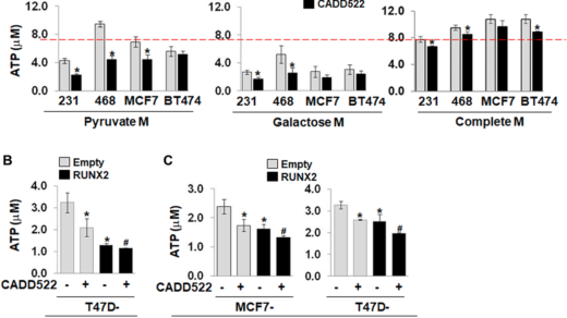 CADD522 treatment suppresses the levels of ATP
