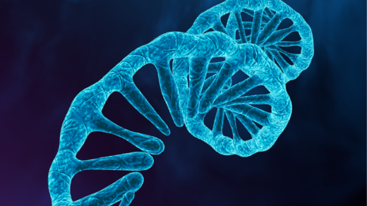 For the first time, researchers based out of the United States identified miRNA-4287 as a key regulator in stemness and metastasis of prostate cancer.