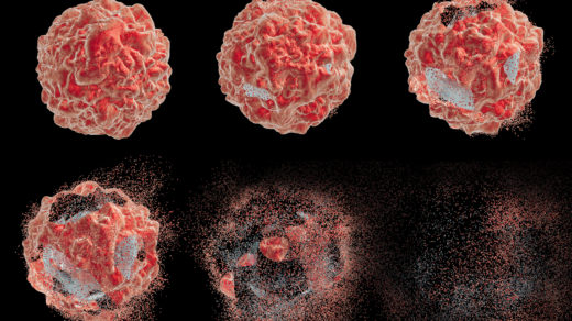3D illustration of the stages of cell apoptosis.
