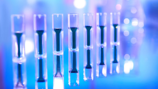 Protein analysis / Spectrophotometer quvettes