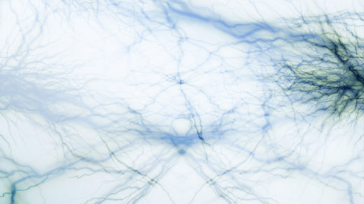 Researchers conducted a study to show how epithelial-to-mesenchymal transitions (EMT) can promote tumor growth and neovascularization.