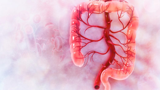 Illustration of human colon