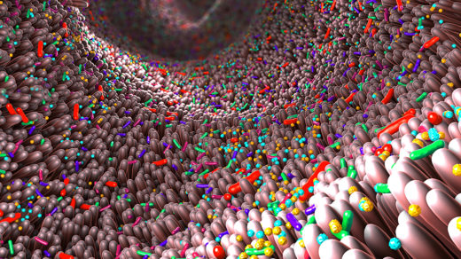 Illustration of the gut microbiome