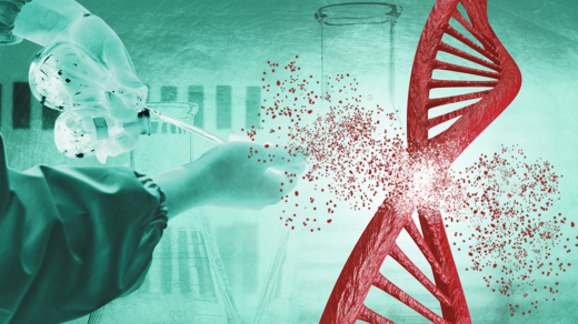 DNA Double strand break