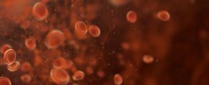 3D red blood cells in vein. Virus, Virotherapy, Multiple Myeloma