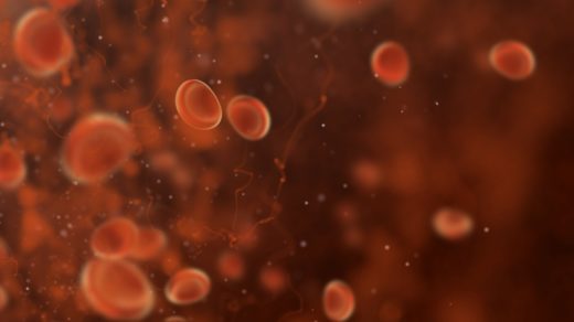 3D red blood cells in vein. Virus, Virotherapy, Multiple Myeloma