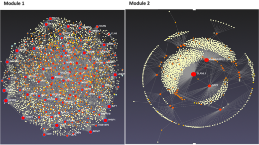 Figure 4- Tissue-specific protein-protein interaction network for modules 1 and 2 candidate genes