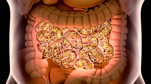 Machine Learning and Gut Microbiomes Predict Immunotherapy Response