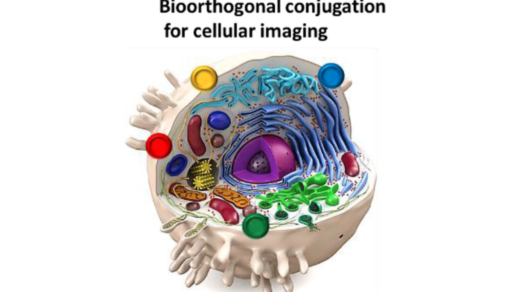A New Method of Targeting Exosomes in Precision Medicine