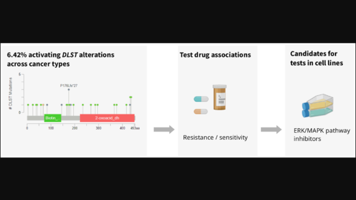 Figure 3: Analysis of DLST-activated cell lines revealed sensitivity to protein kinase inhibiting the ERK/MAPK pathway.