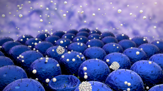 Targeting Lactate Transporters for Disease Therapies