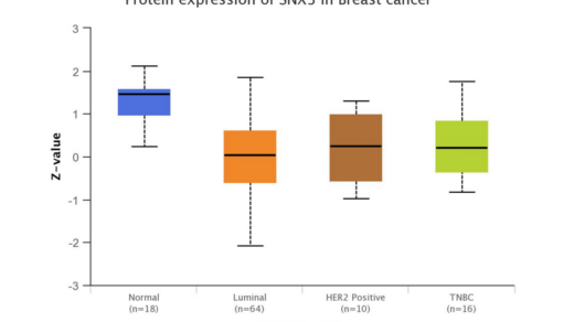 Figure 1: SNX3 protein downregulation in breast tumors.