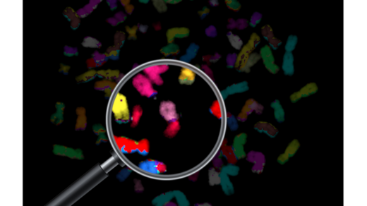 Figure 1: Whole-genome duplication (WGD) occurs in approximately third of human tumors, and is associated with increased chromosomal instability and aneuploidy.