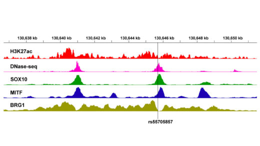 Predicting Functions of Cancer-Associated Genetic Variants