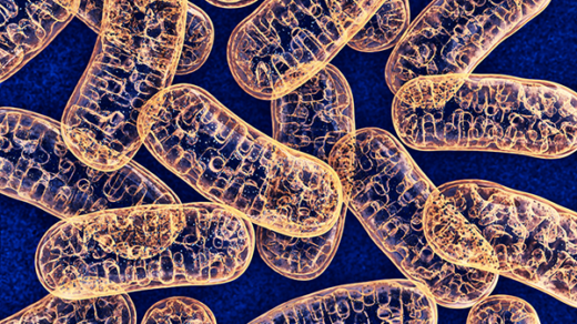 How Osteopontin Stimulates Mitochondrial Mass and Cancer Metastasis