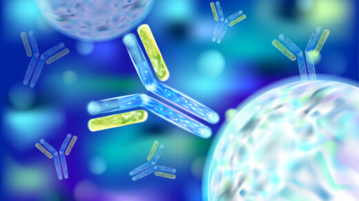 Antibody
