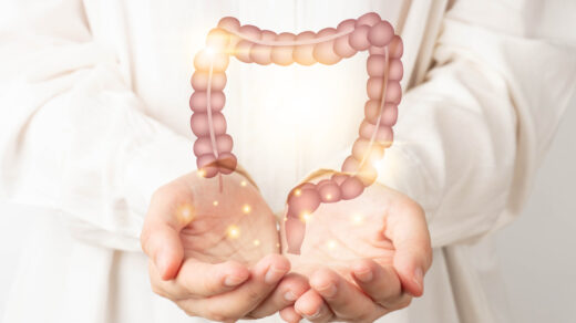 Healthy large intestine anatomy on doctor hands. Concept of healthy bowel digestion, colon cancer screening, intestinal disease treatment or colorectal cancer awareness.